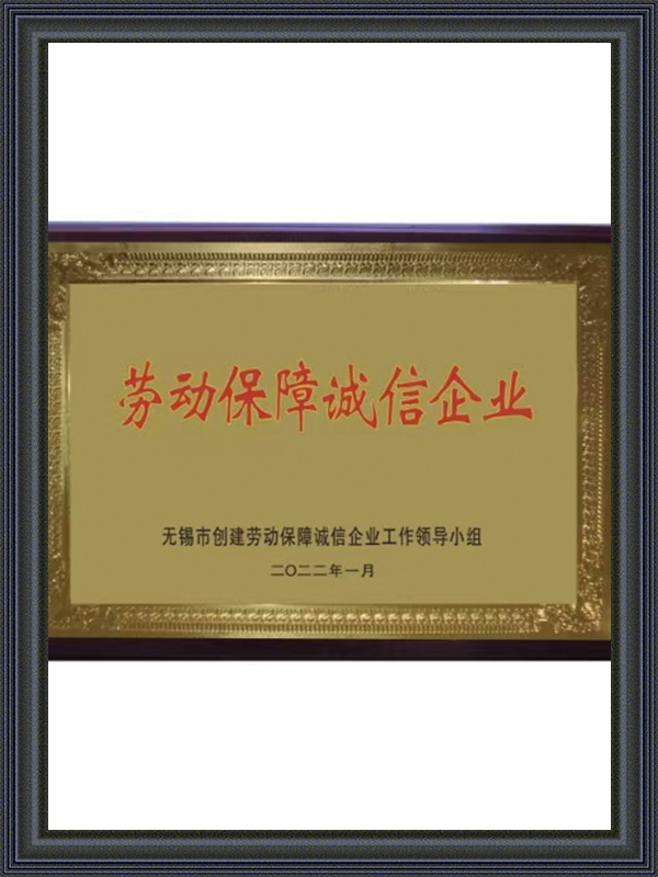 Labor Security Integrity Enterprise